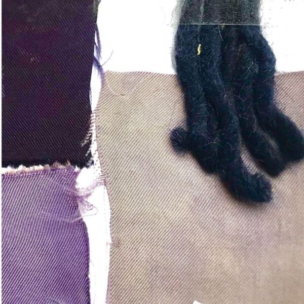 Extrait de campêche Extrait de campêche