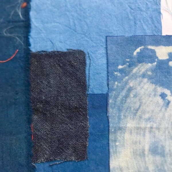 Indigo polygonum Indigo polygonum