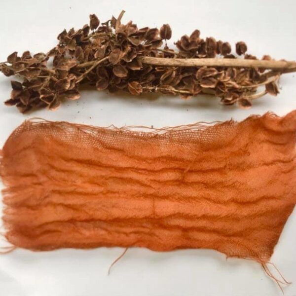 Projet textile et couleurs végétales Projet textile et couleurs végétales