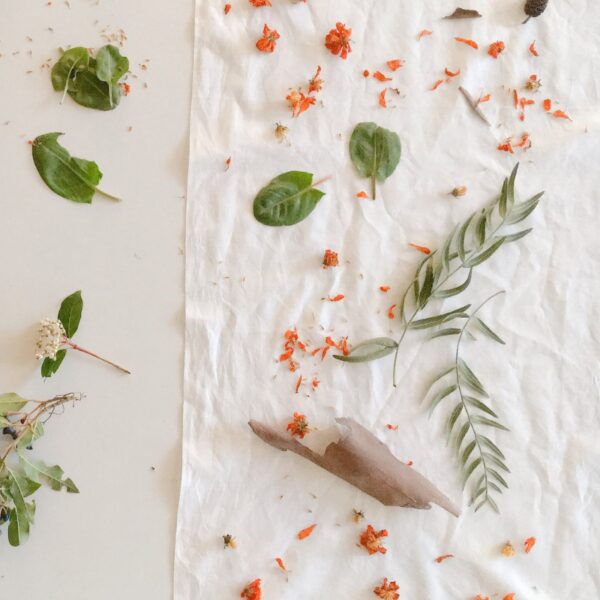 Formation Eco-print - 3 jours Formation Eco-print - 3 jours