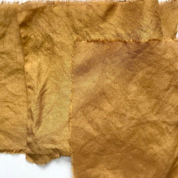 Yamamomo - 100g Yamamomo - 100g