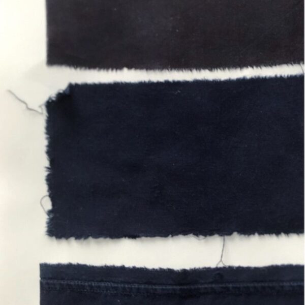 Indigo mexicain Indigo mexicain