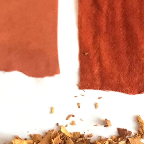 Formager ou Morinda - 100g Formager ou Morinda - 100g