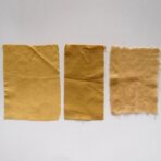 Myrobolan - 100g