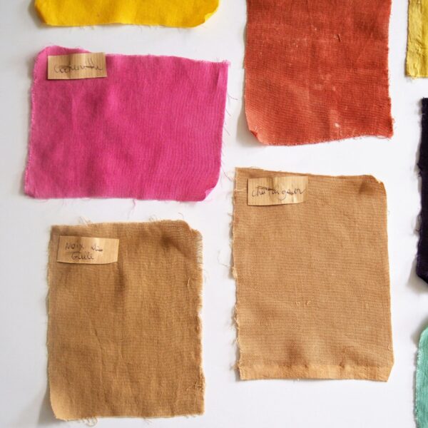 Coton biologique fin réf CI001 Coton biologique fin réf CI001