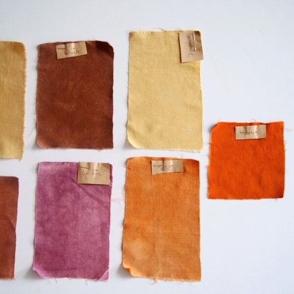 Coton biologique moyen réf CI002 Coton biologique moyen réf CI002