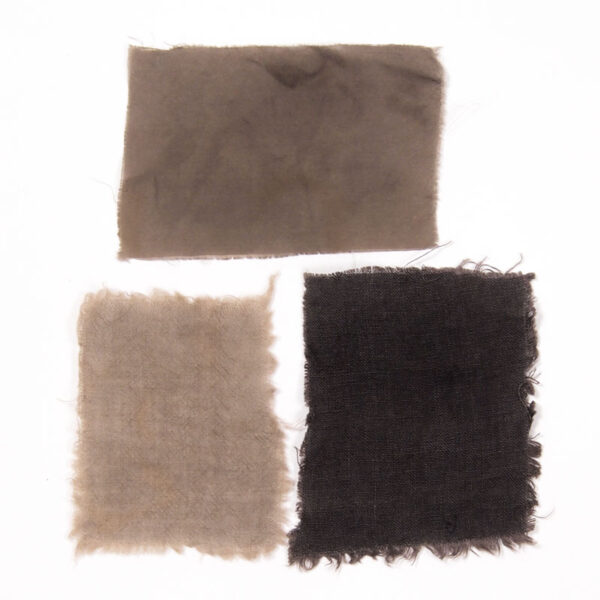 extrait de cedre gris extrait de cedre gris