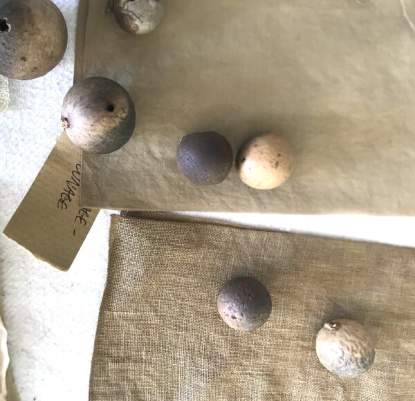 Galle du chêne blanc - 200g Galle du chêne blanc - 200g