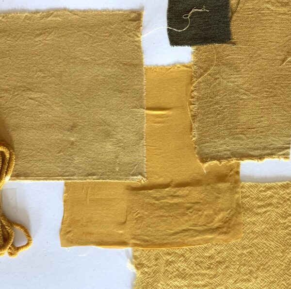 Immortelle commune - 200g Immortelle commune - 200g