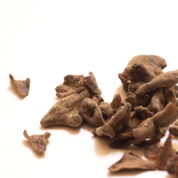 Noix de galle du sumac - 100g Noix de galle du sumac - 100g