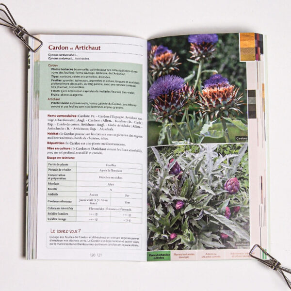 guide des teintures naturelles guide des teintures naturelles