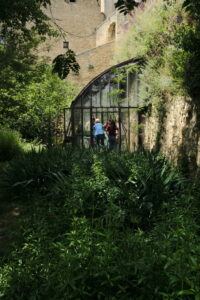 Formation : Culture, production et récolte de plantes tinctoriales